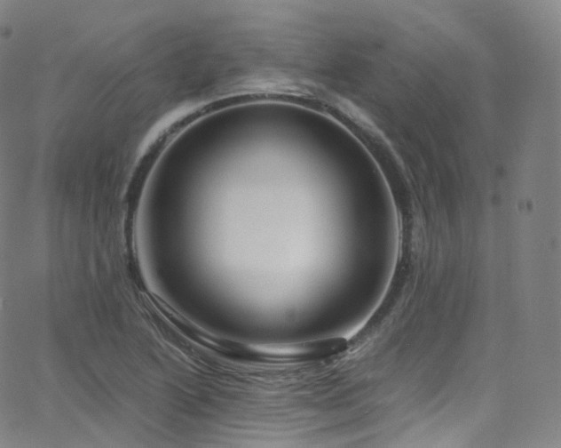X0000063471222200601201303