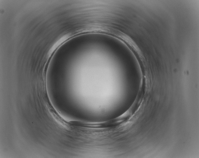 X0000063471242200601201303