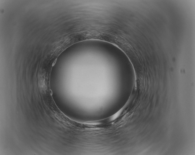X0000063471250200601201302