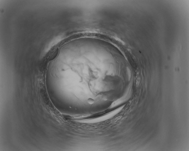 X0000063471255200601201302