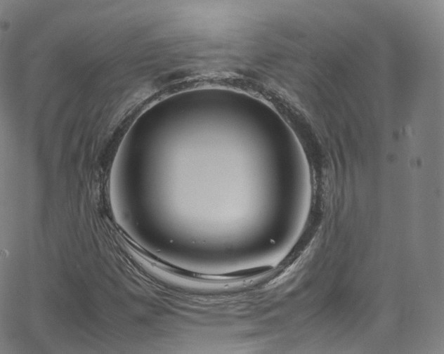 X0000063471257200601201302
