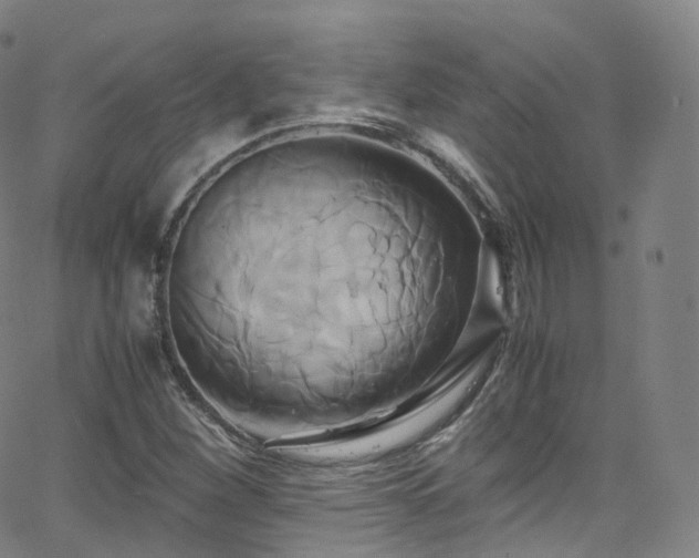 X0000063471260200601201302