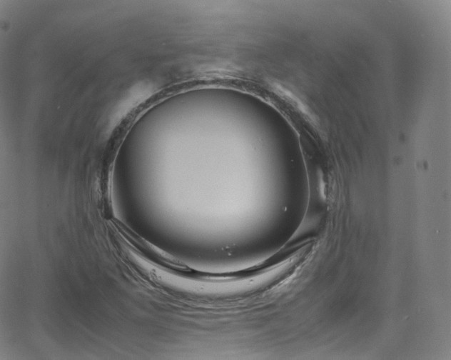 X0000063471261200601201302