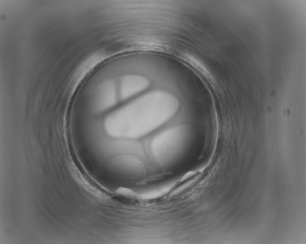 X0000063471283200601201302