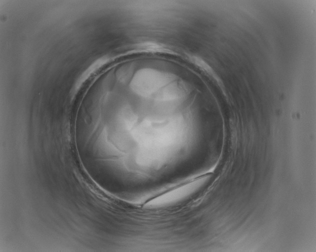 X0000063471318200601201301