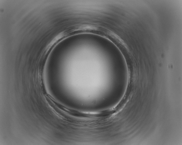 X0000063471321200601201301