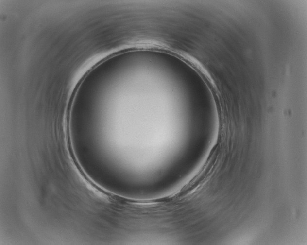 X0000063471343200601201301