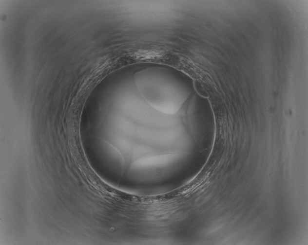 X0000063471393200601201259