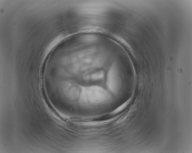 X0000063471467200601201259