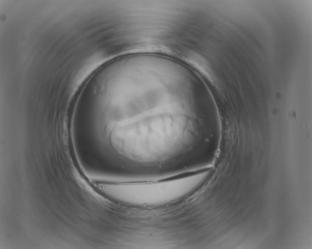 X0000063471468200601201259