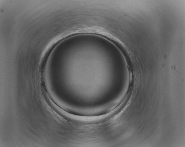 X0000063471506200601201258
