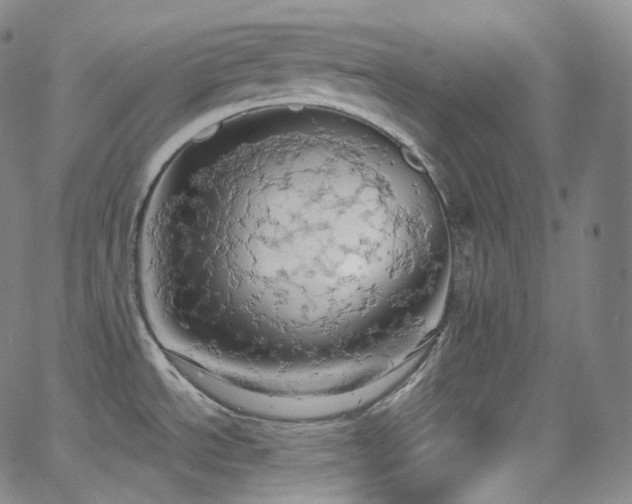 X0000063471534200601201258