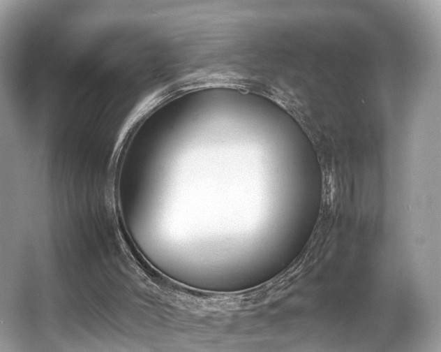 X0000063470004200601231456