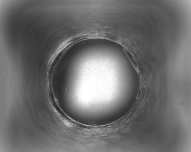 X0000063470005200601231456