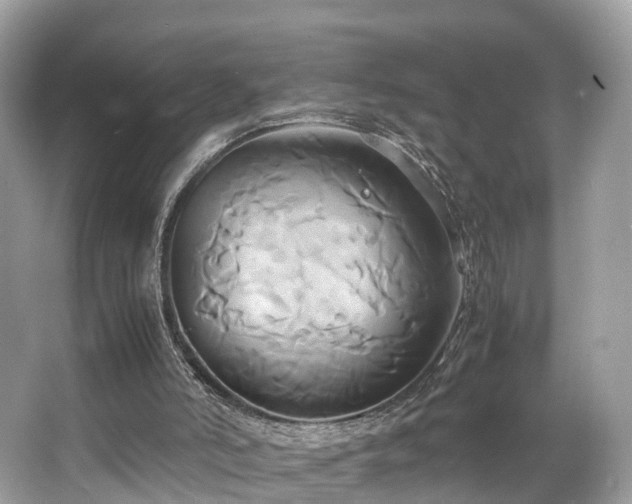 X0000063470006200601231456