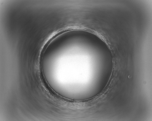 X0000063470008200601231456