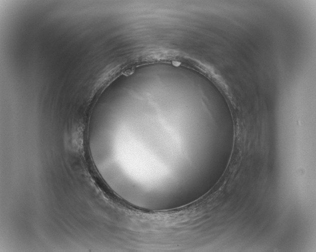 X0000063470010200601231456