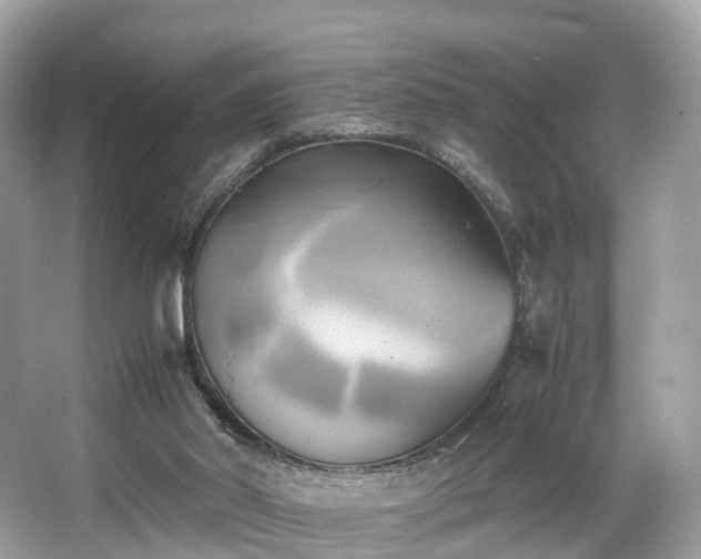 X0000063470014200601231456