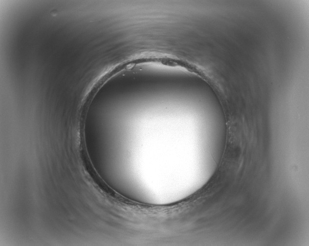 X0000063470015200601231456