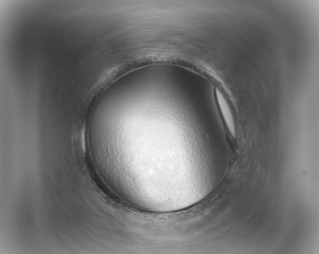 X0000063470019200601231456