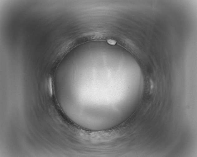 X0000063470022200601231456
