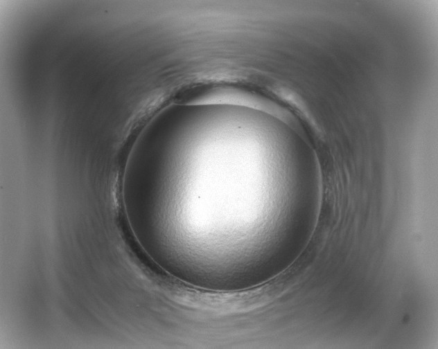 X0000063470023200601231456
