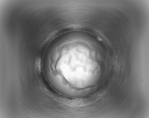 X0000063470024200601231456