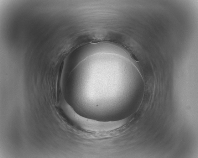 X0000063470031200601231456