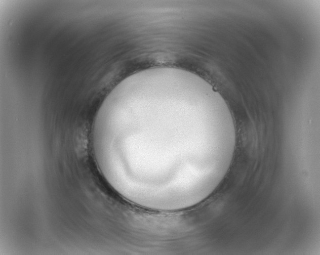 X0000063470032200601231456