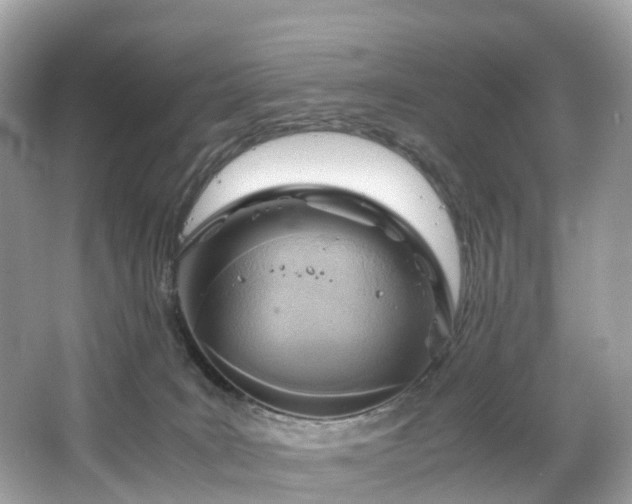 X0000063470035200601231456