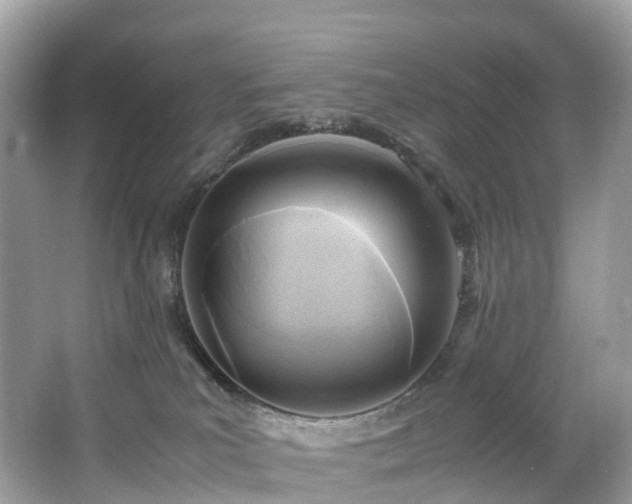 X0000063470039200601231456