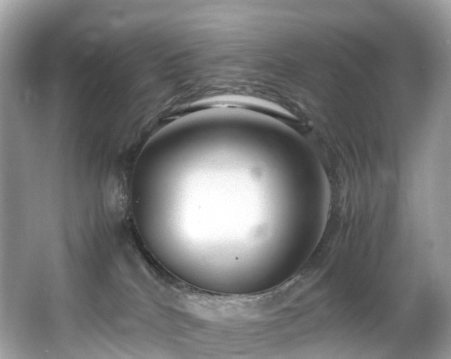X0000063470040200601231456