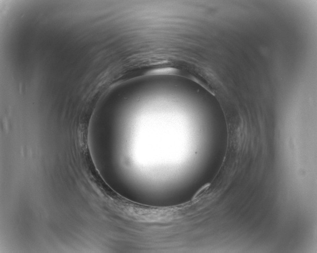 X0000063470044200601231456