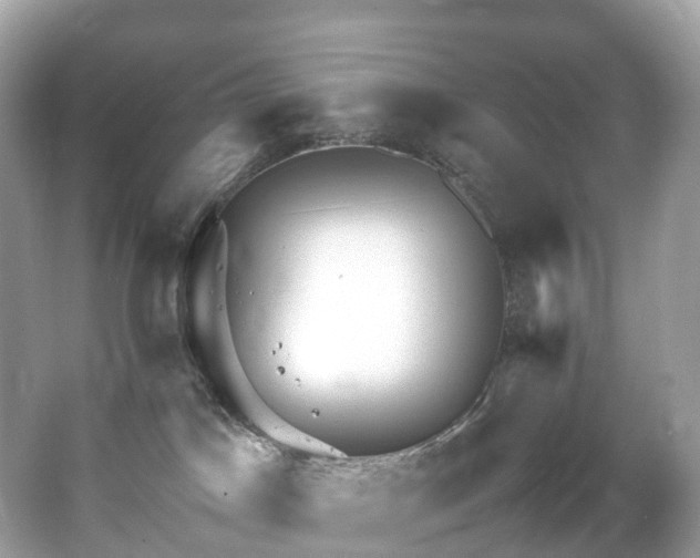 X0000063470045200601231456