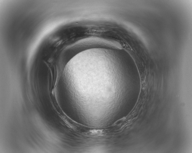 X0000063470052200601231455