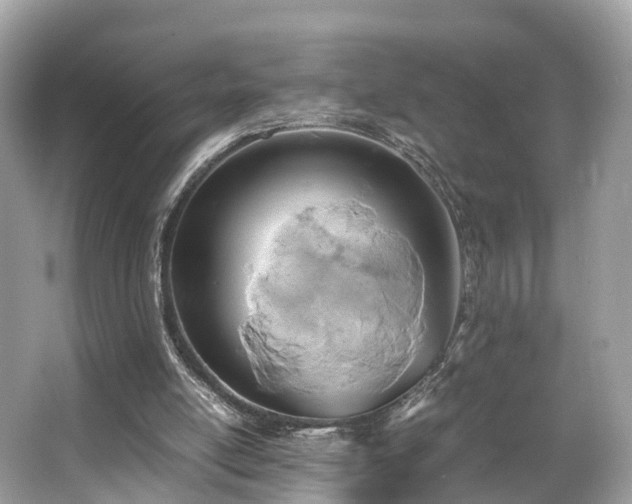X0000063470054200601231455