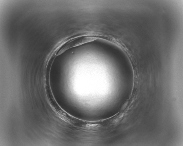 X0000063470055200601231455
