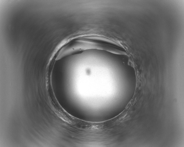 X0000063470056200601231455