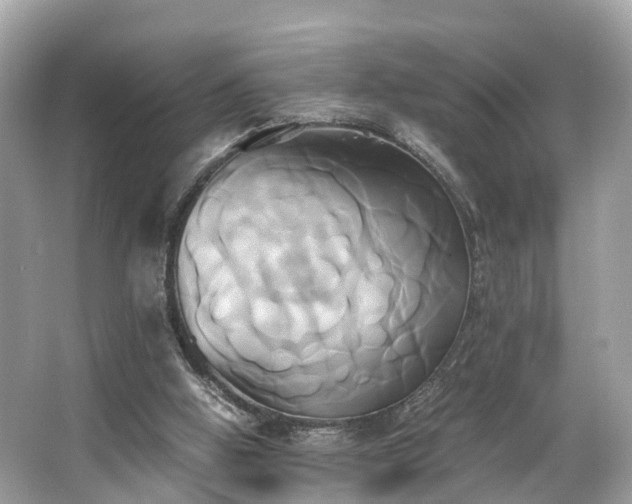 X0000063470058200601231455