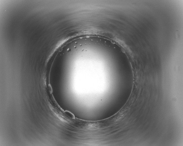 X0000063470060200601231455