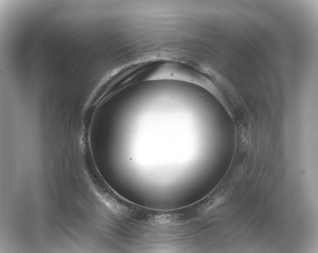 X0000063470064200601231455