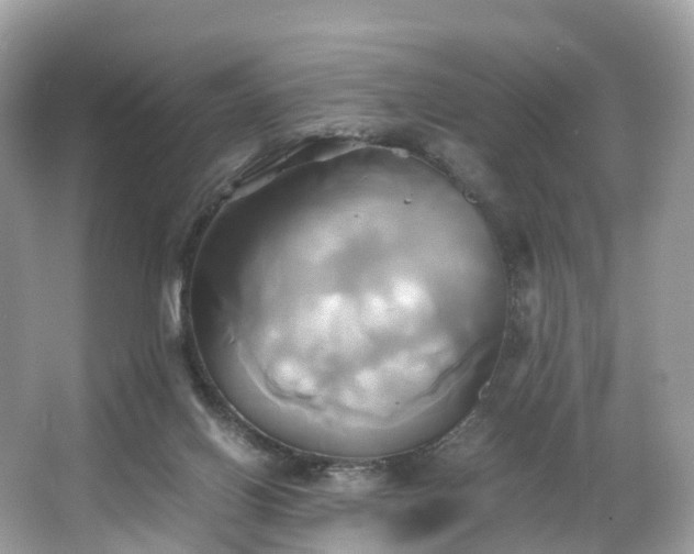X0000063470070200601231455