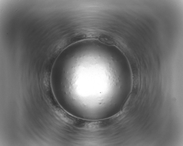 X0000063470078200601231455