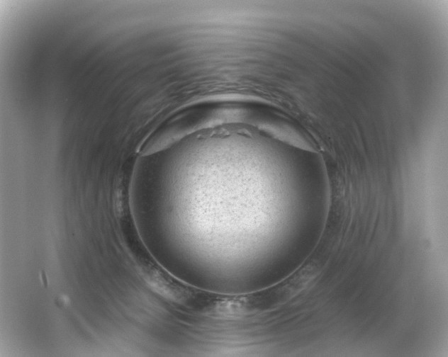 X0000063470080200601231455
