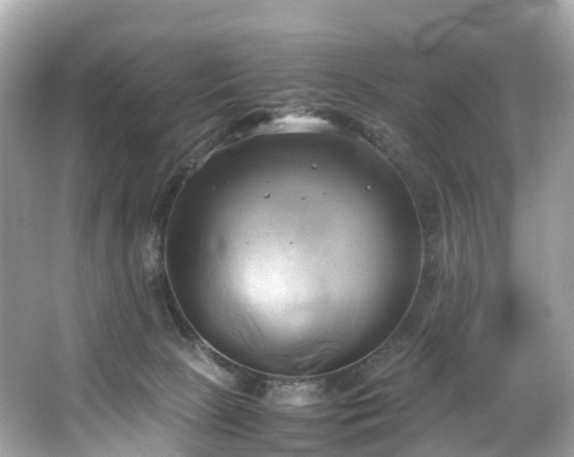 X0000063470081200601231455