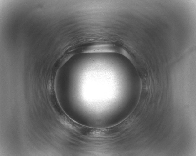 X0000063470084200601231455