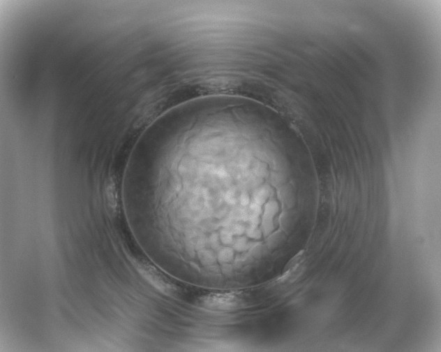X0000063470086200601231456