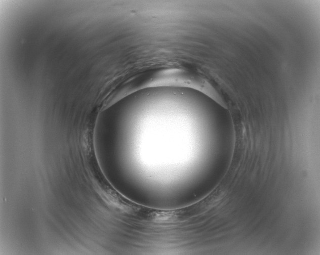 X0000063470088200601231456