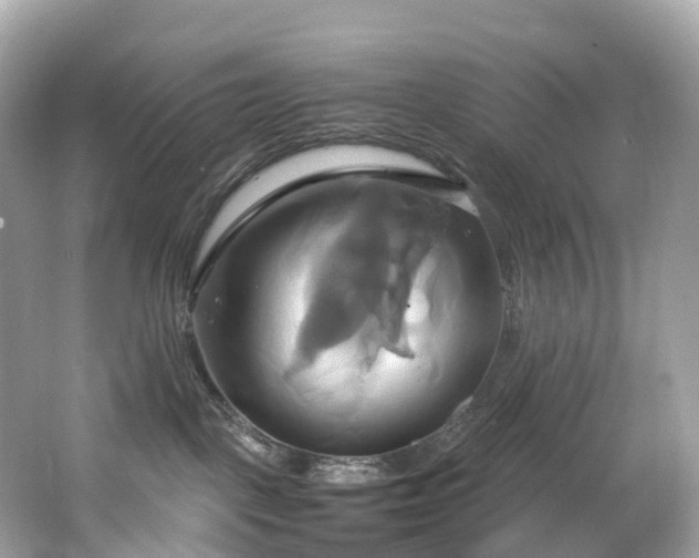 X0000063470093200601231456