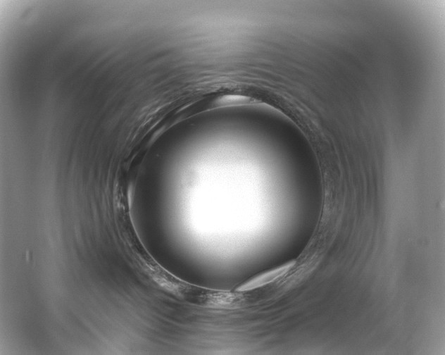 X0000063470096200601231456